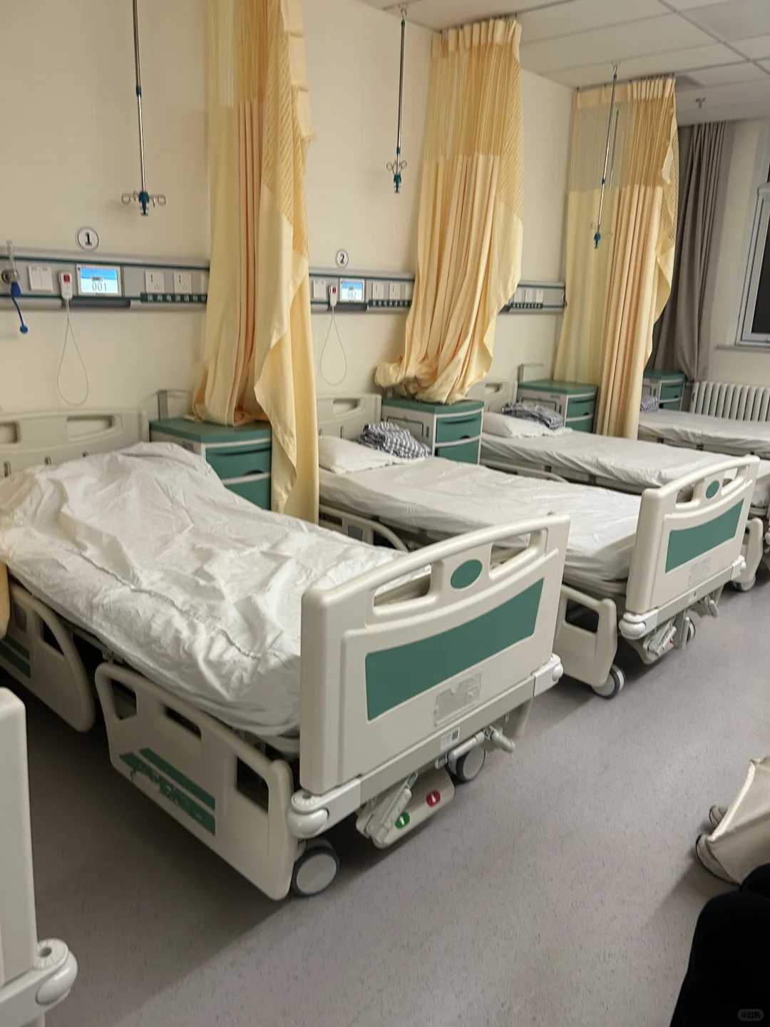 内蒙放生鳖的好处（内蒙佛教放生黄鳝代表什么）