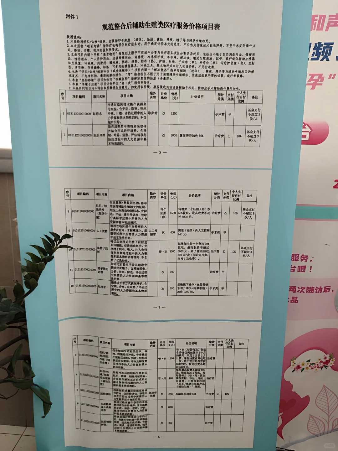浙江适合放生的鸟（浙江文鸟放生可以独立生存吗）