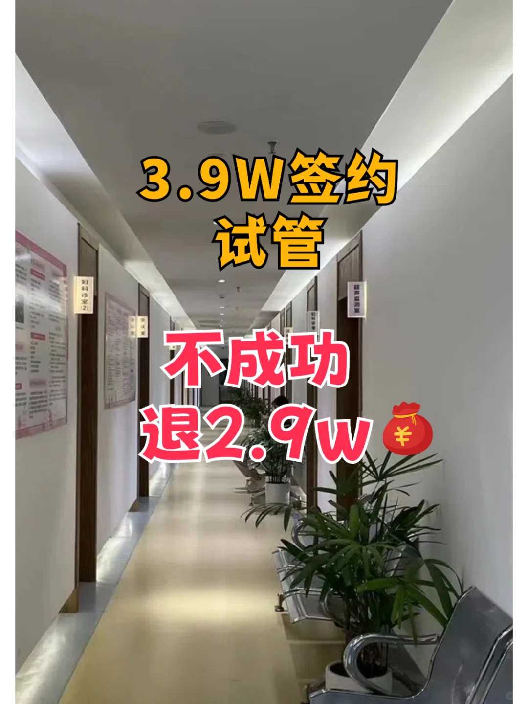 受孕着床10天的体温