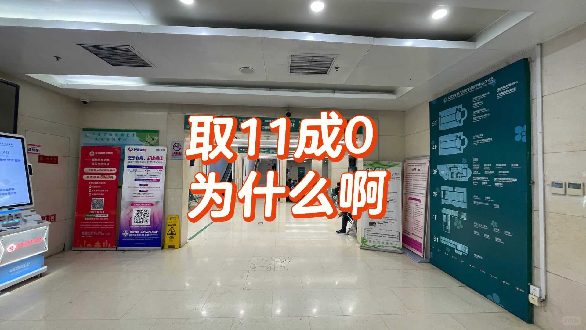 景区放生鳄鱼山东代放生放什么最好【家鹅放生野外能活吗】