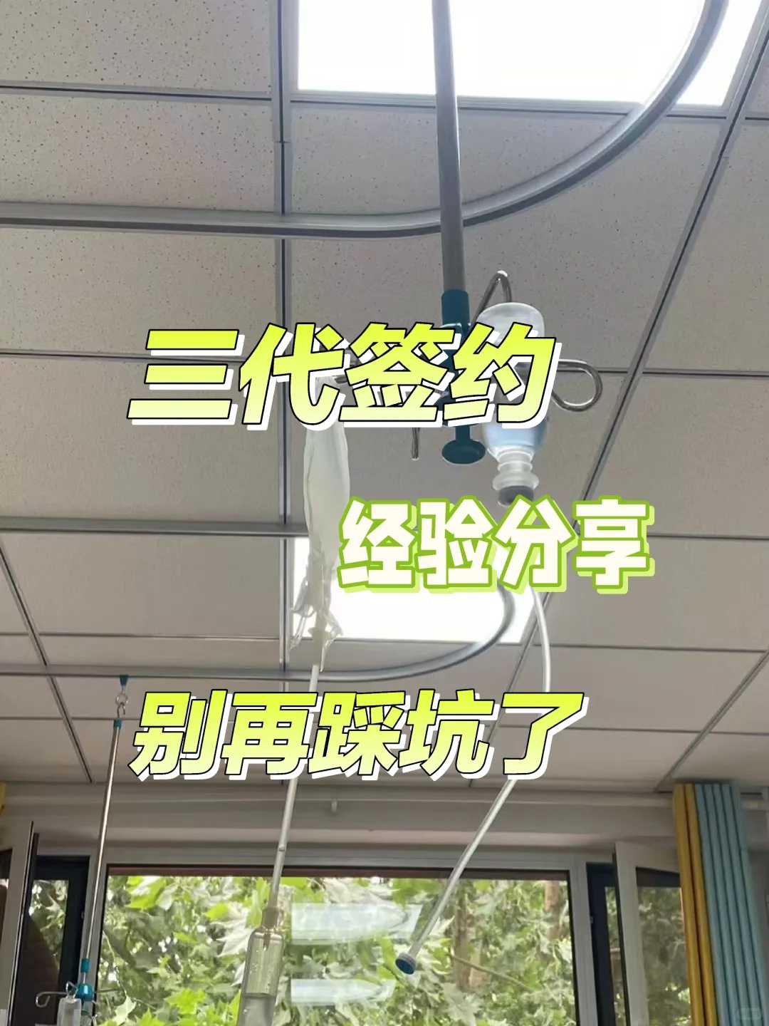 山东放生积累福报（山东家养鸭子放生后还认主人）