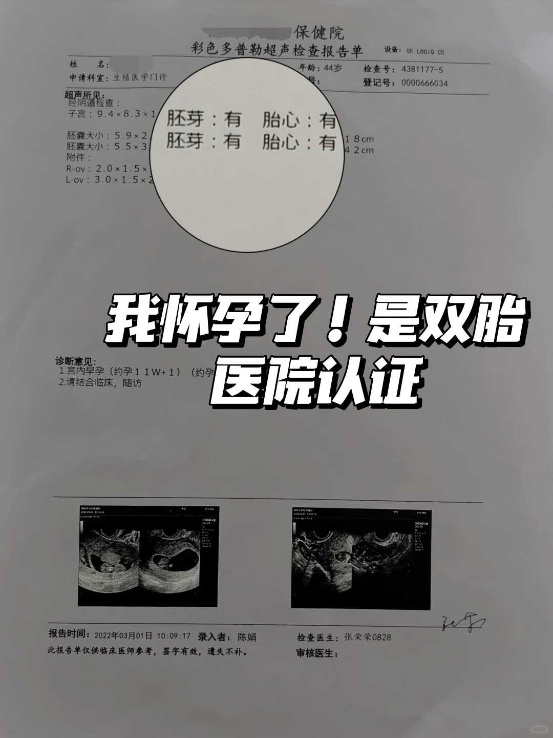 香港放生龟，放生羊的功德与意义