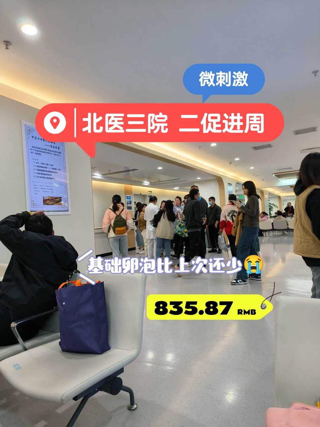 武汉放生甲鱼,武汉放生地选择,田螺应该放生在哪里最好