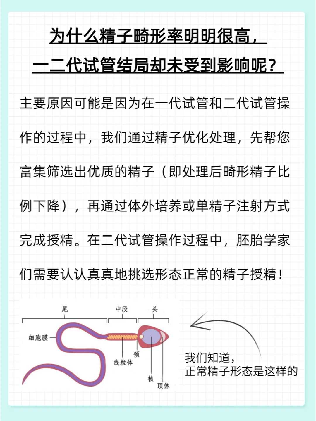 连云港初一放生鲫鱼,连云港螃蟹代放生的功德,连云港绣眼鸟可以放生吗