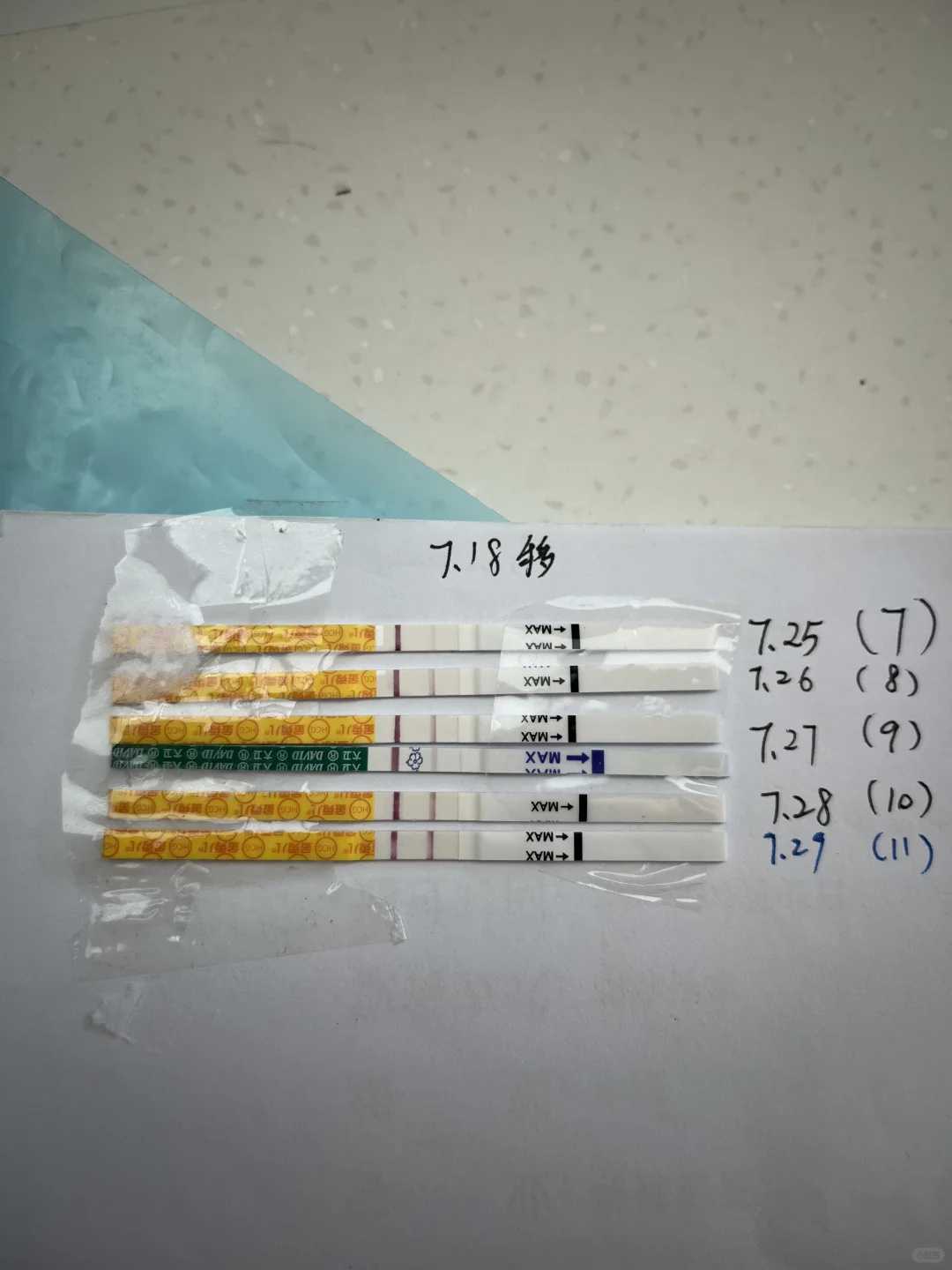 昆明，代放生咒唱诵播放，甲鱼放生要选什么样的河