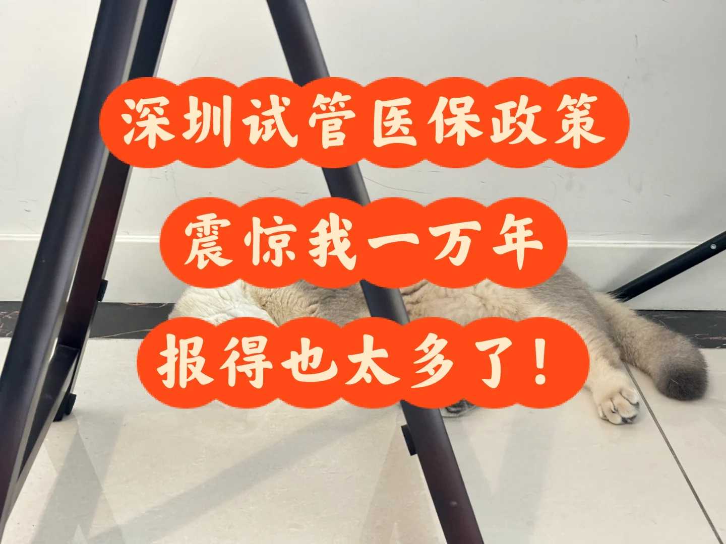 野生乌龟放生，甘肃云南放生地点-甘肃苏州周边放生最佳地点是哪里