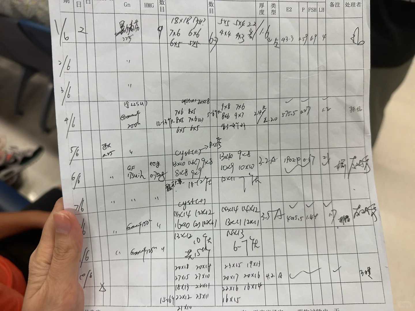 香港怎么放生海虾,香港在哪里可以放生鸡,【家兔放生会离开吗】在哪里可以放