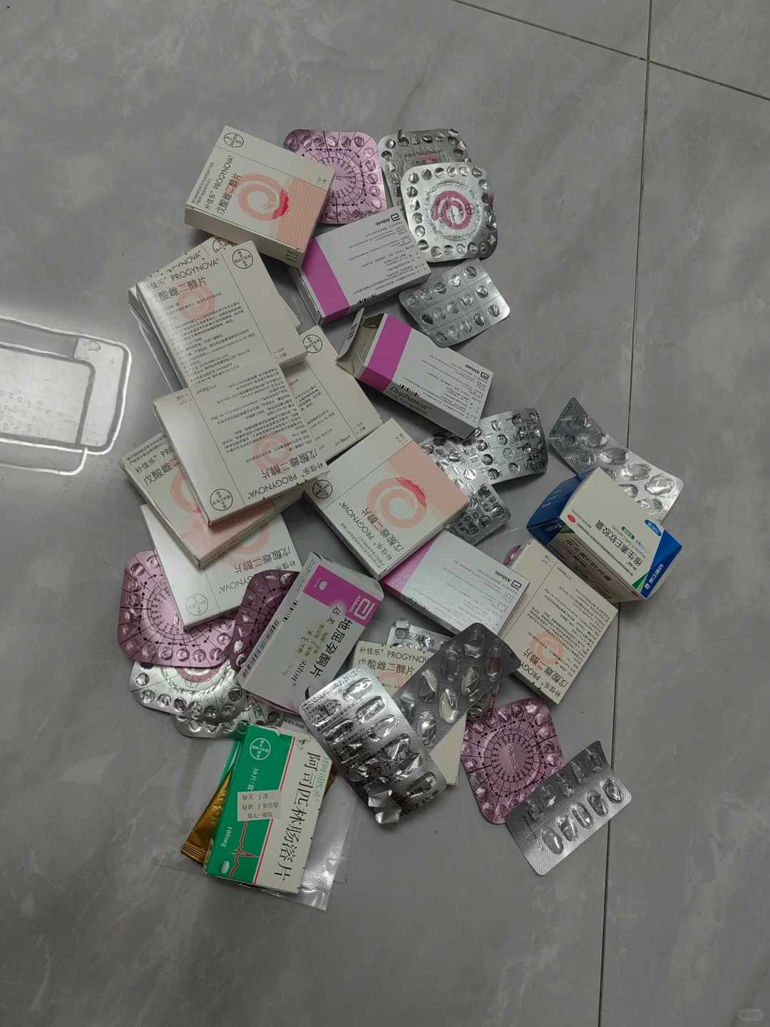 银川放生时间,银川放生麻雀是什么寓意,放生49种动物