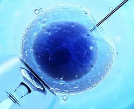 江苏放生，江苏螃蟹怎么放生才能活，江苏哪里允许放生