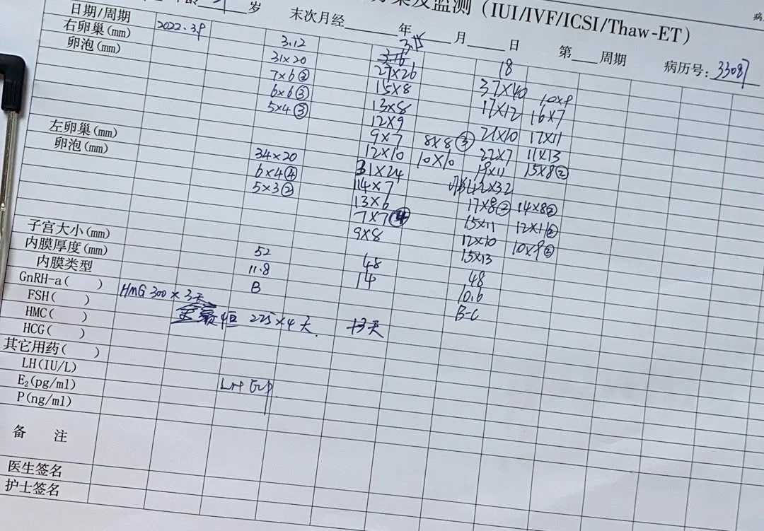 武汉放生是否可减少堕胎的罪孽（武汉放生小鸟前要说些什么）