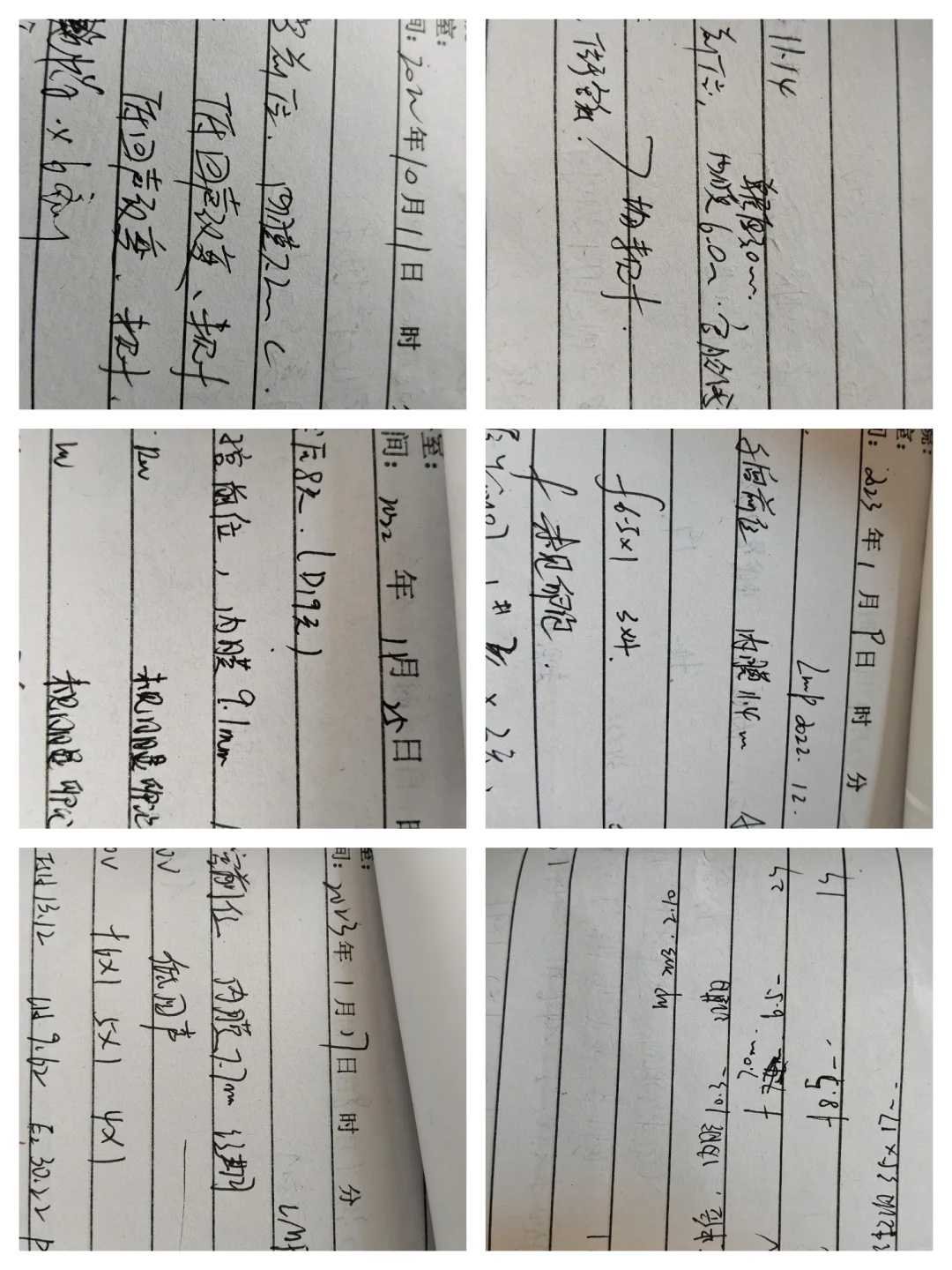 贵阳,代放生鸟的功德,北方冬天放生什么动物最好