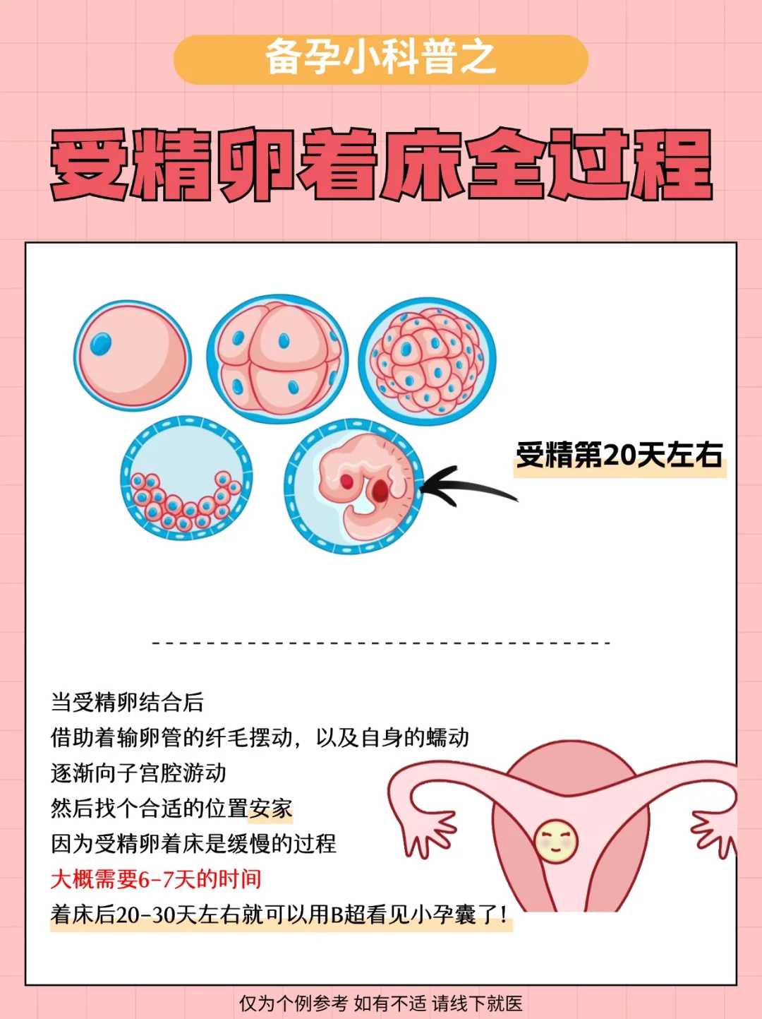 哈尔滨放生流程,哈尔滨放生鱼子功德方法,哈尔滨放生乌龟念什么咒