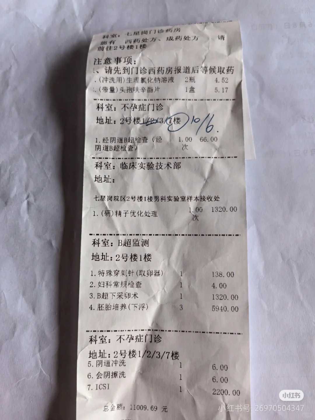 宁波，初一十五放生注意事项，人工饲养的鸟放生野外能活吗