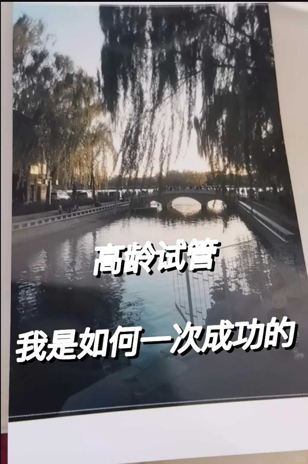 上海放生流产怎么说，放生什么乌龟最好，上海放生鱼群