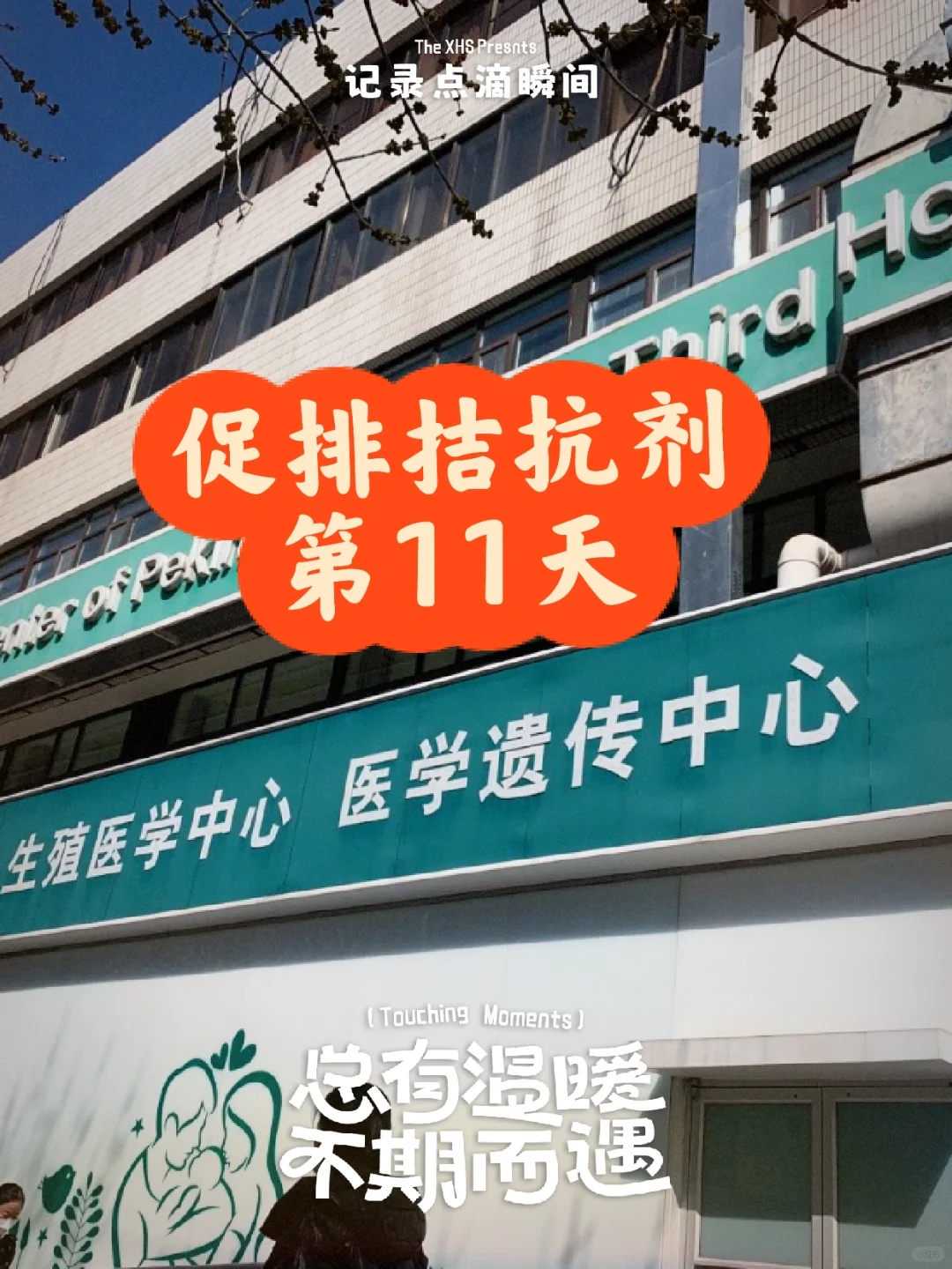 秦皇岛放生流程_秦皇岛放生青蛙的什么福报