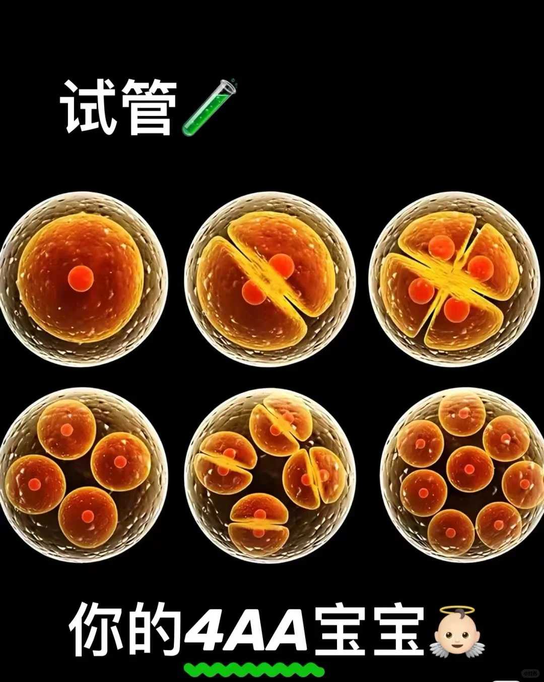 杭州放生放几条鲫鱼，泥鳅去哪里放生，杭州放生的地点