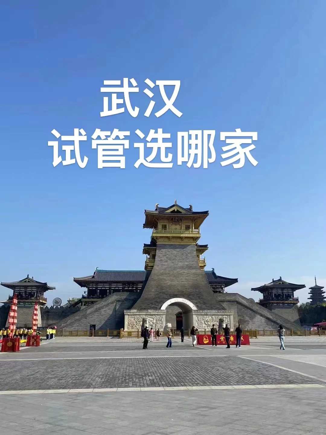 武汉,可以代放生什么鱼,乌龟可以放生到海里吗