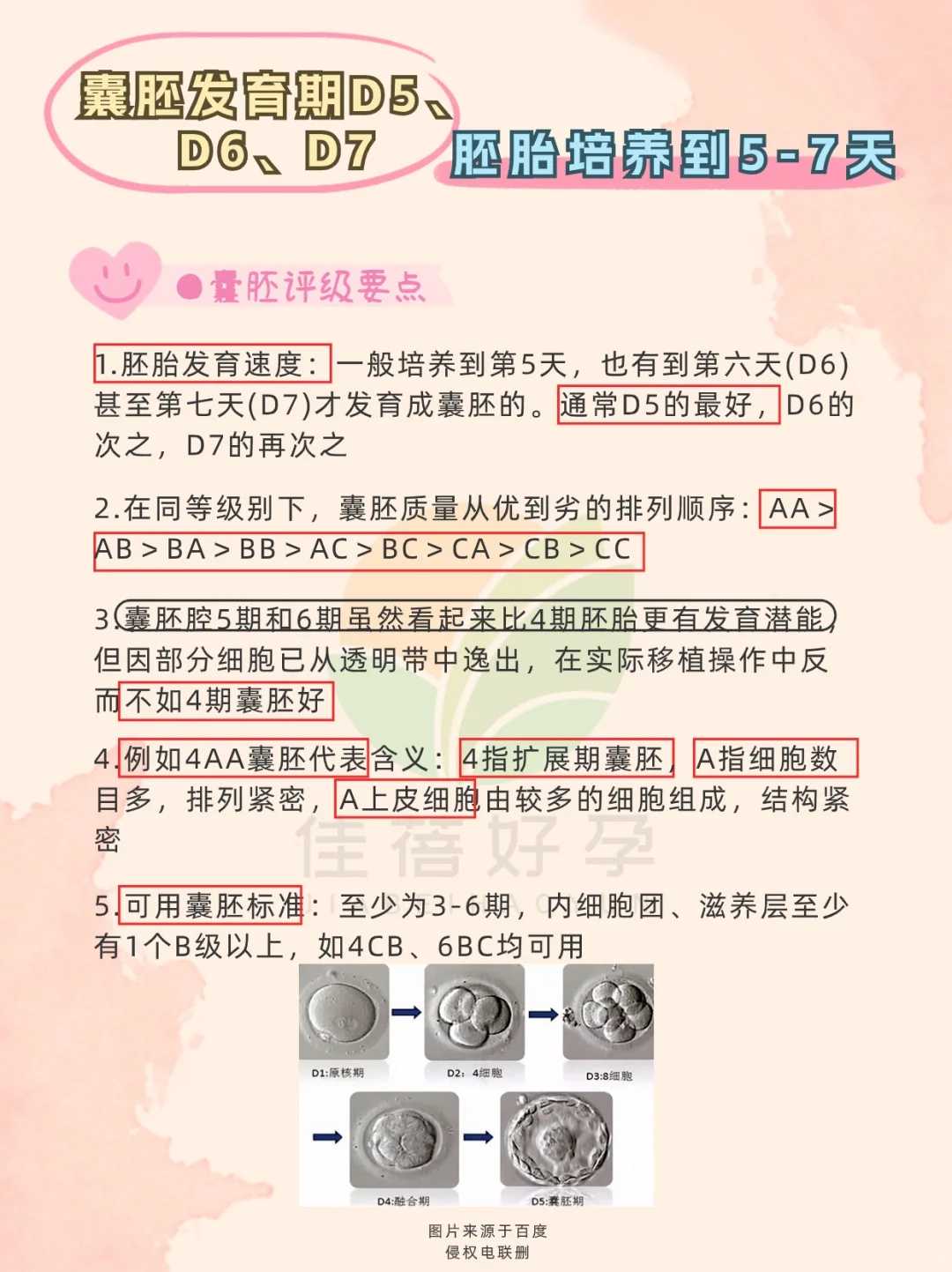 安庆松鼠放生，放生放鸽子有啥功德【上海放生泥鳅最佳地点】