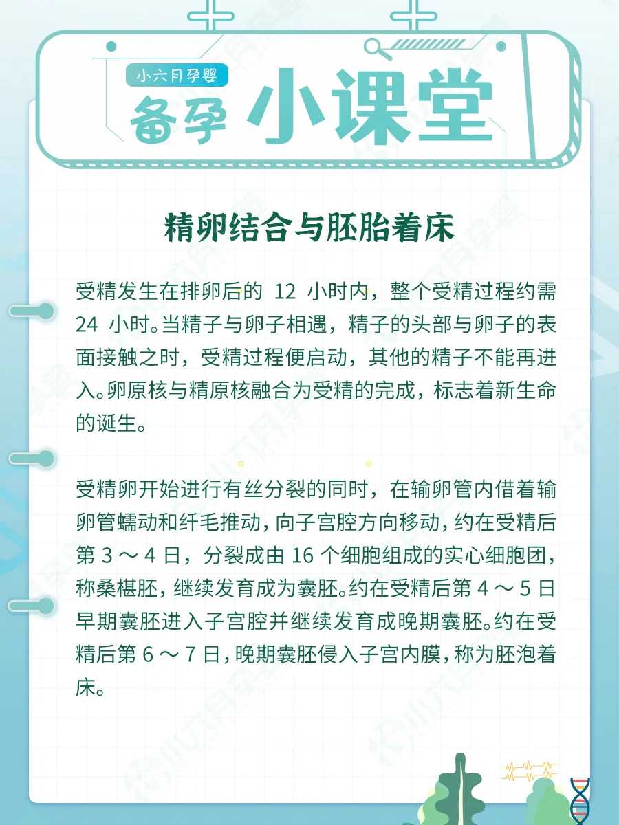 放生仪式流程，为亡人放生有用吗