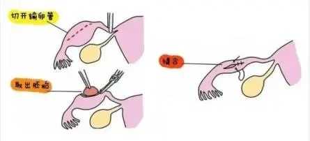 四川归元寺放生池，四川放生乌龟要注意什么，中秋节可以放生