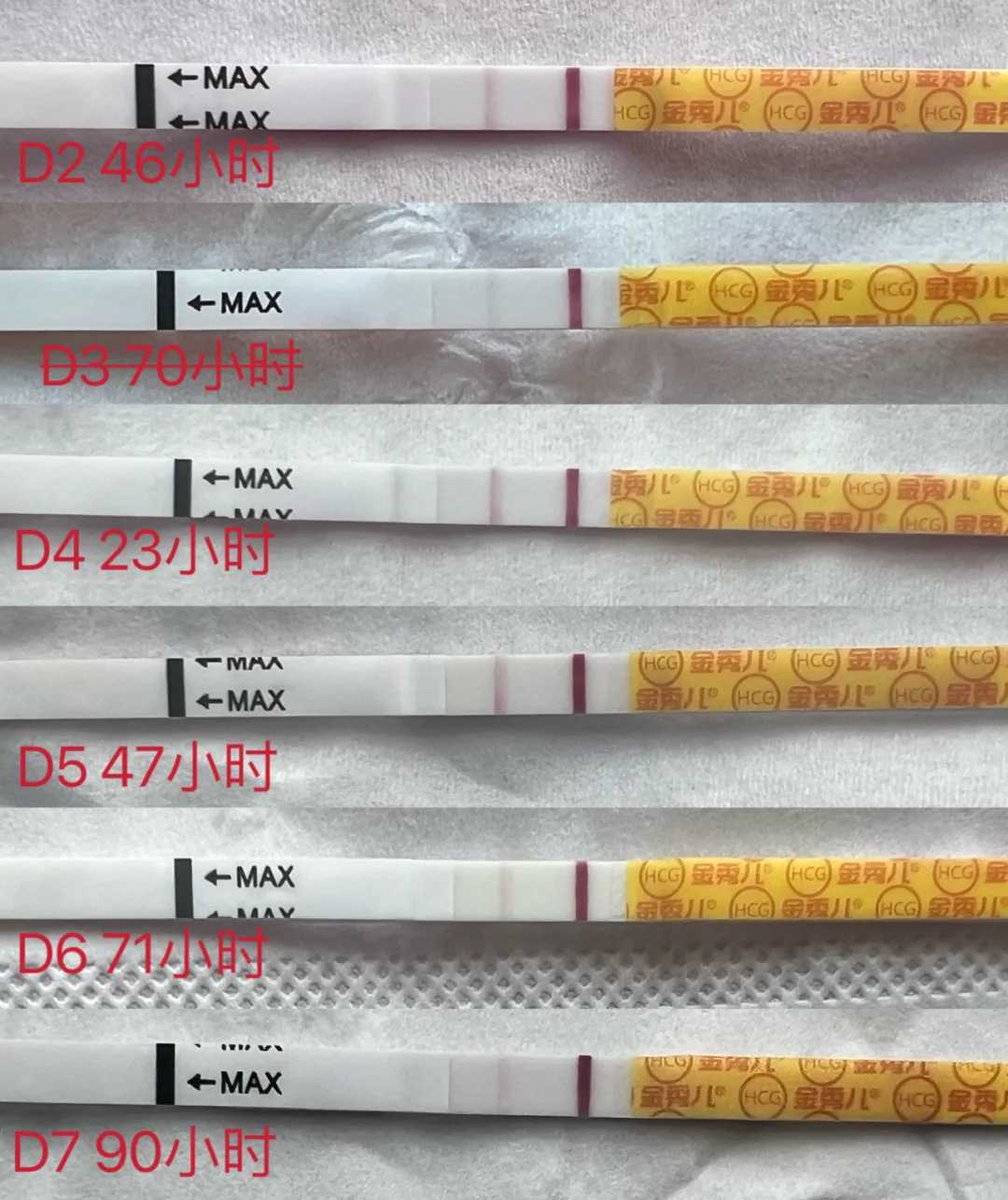 武汉哪里适合代放生地点，武汉归元禅寺方丈隆醒法师发表新春祝福