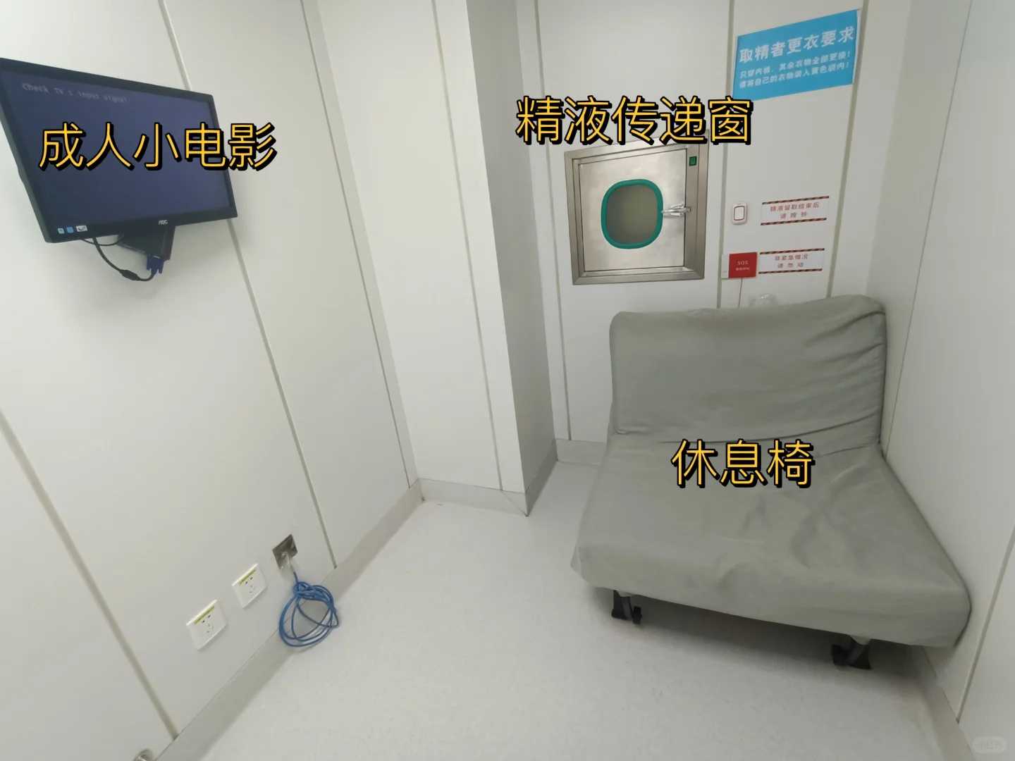 放生用什么，武汉哪里可以放生鱼，放生金鱼什么时间去最好