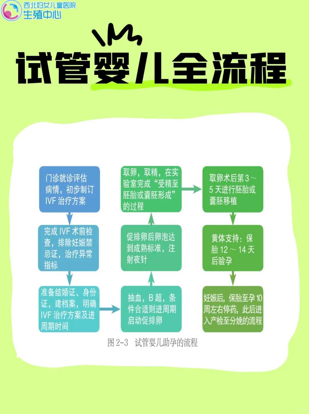 武汉,放生刺猬的正确方法,人工饲养的泥鳅放生能活吗
