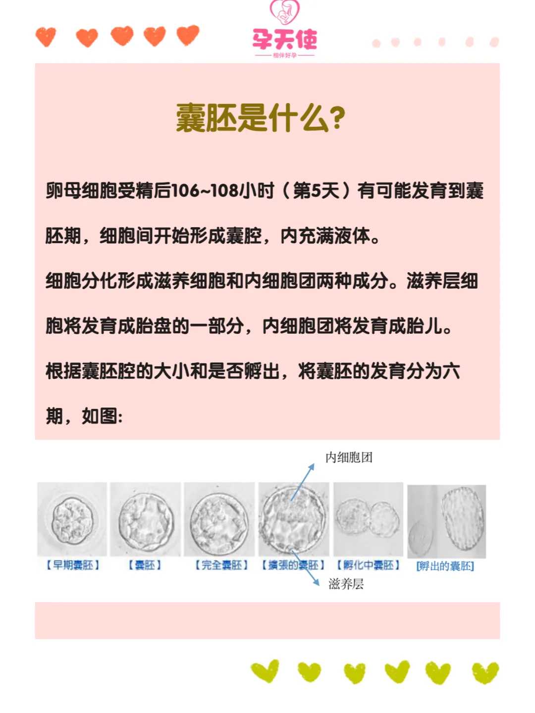 西安放生地点,长沙巴西龟放生地点【放生可以增加福报吗】