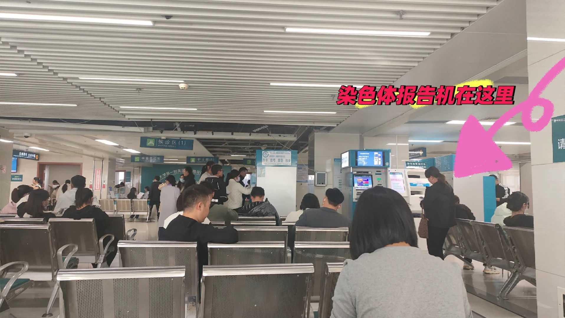 买放生鱼苗浙江把鱼代放生【放生鲤鱼十条的寓意】