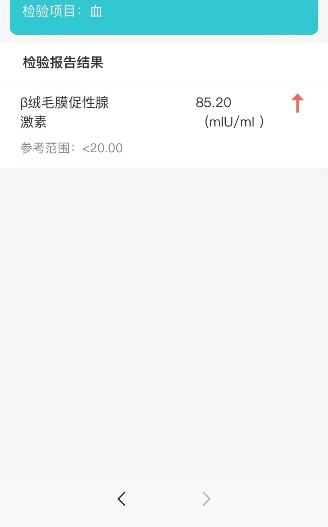 海南放生乌龟福报,海南甲鱼什么时候放生好,放生说的吉祥话