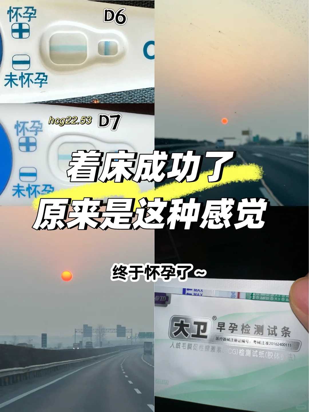 河南关于放生,河南哪里放生鱼最安全,河南兔子如何放生
