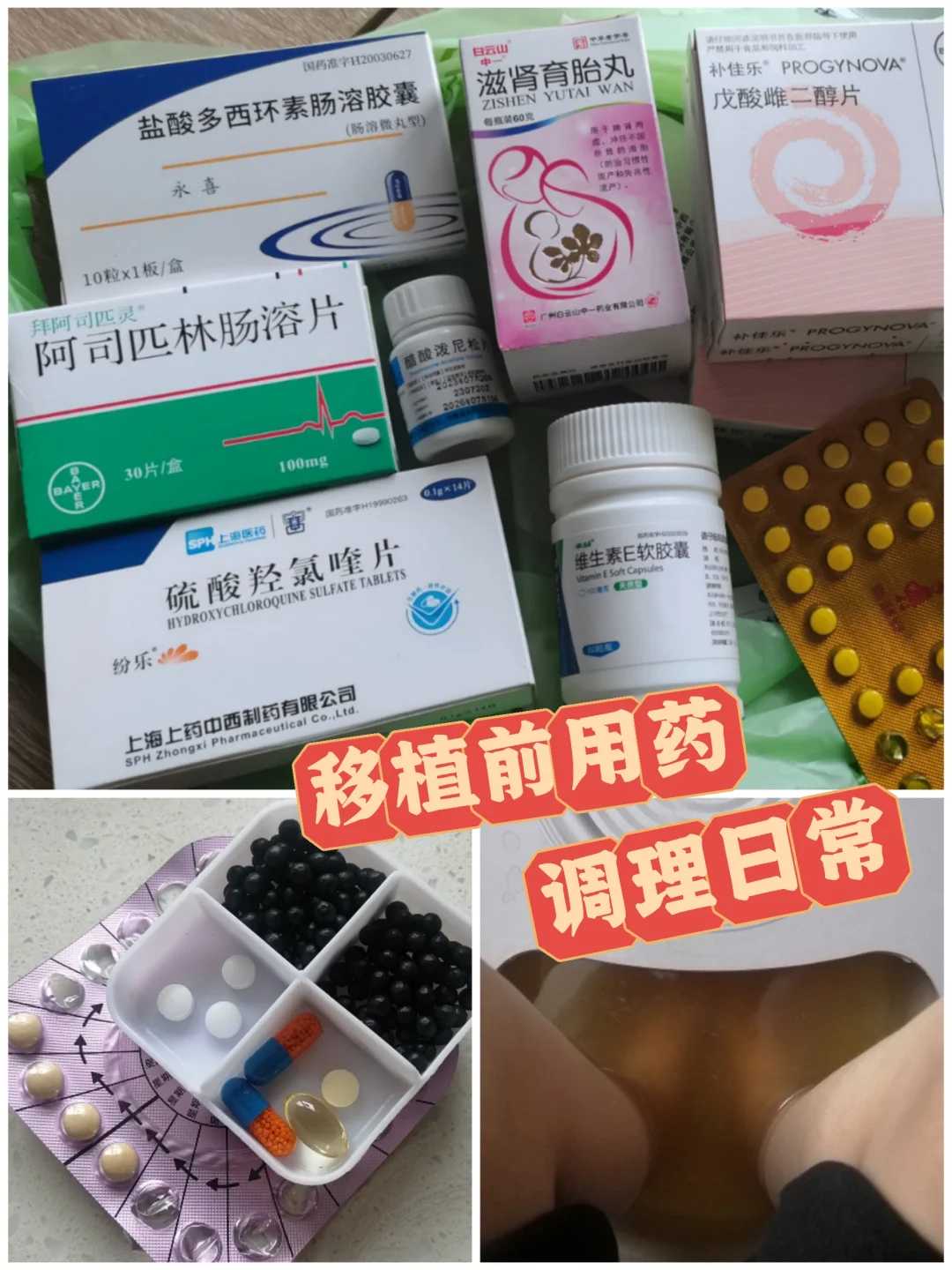 四川放生法会功德，四川放生的时间该怎么选择，四川老鳖放生有什么好