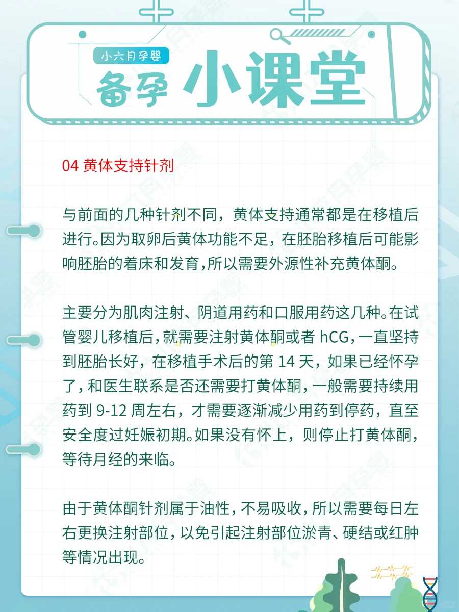 武汉放生仪规读诵，武汉放生的功德回向给亡人，武汉鱼放生的必念口诀