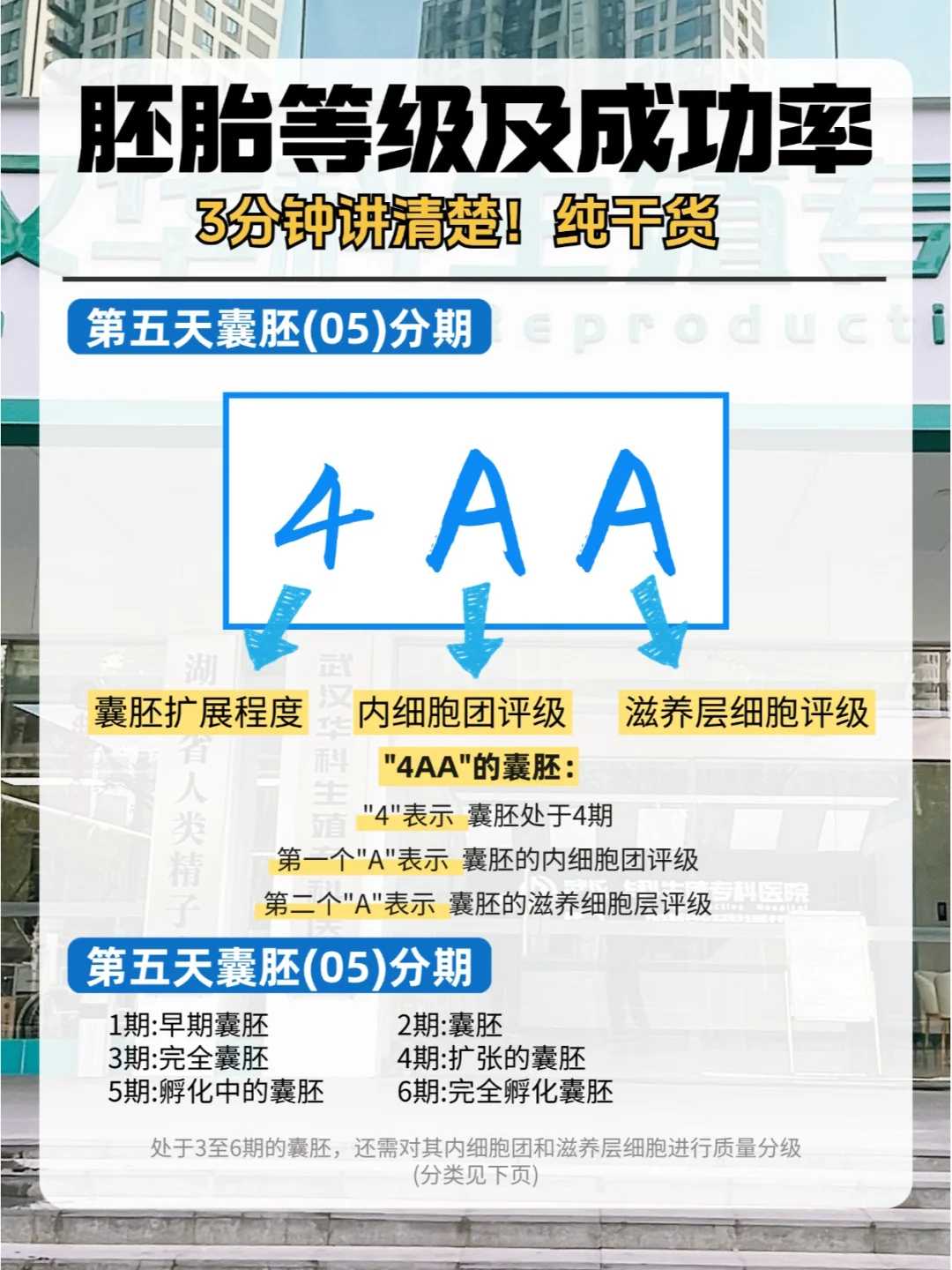 苏州如何放生乌龟，苏州养的金鱼放生能活吗，冬天能放生鲤鱼吗