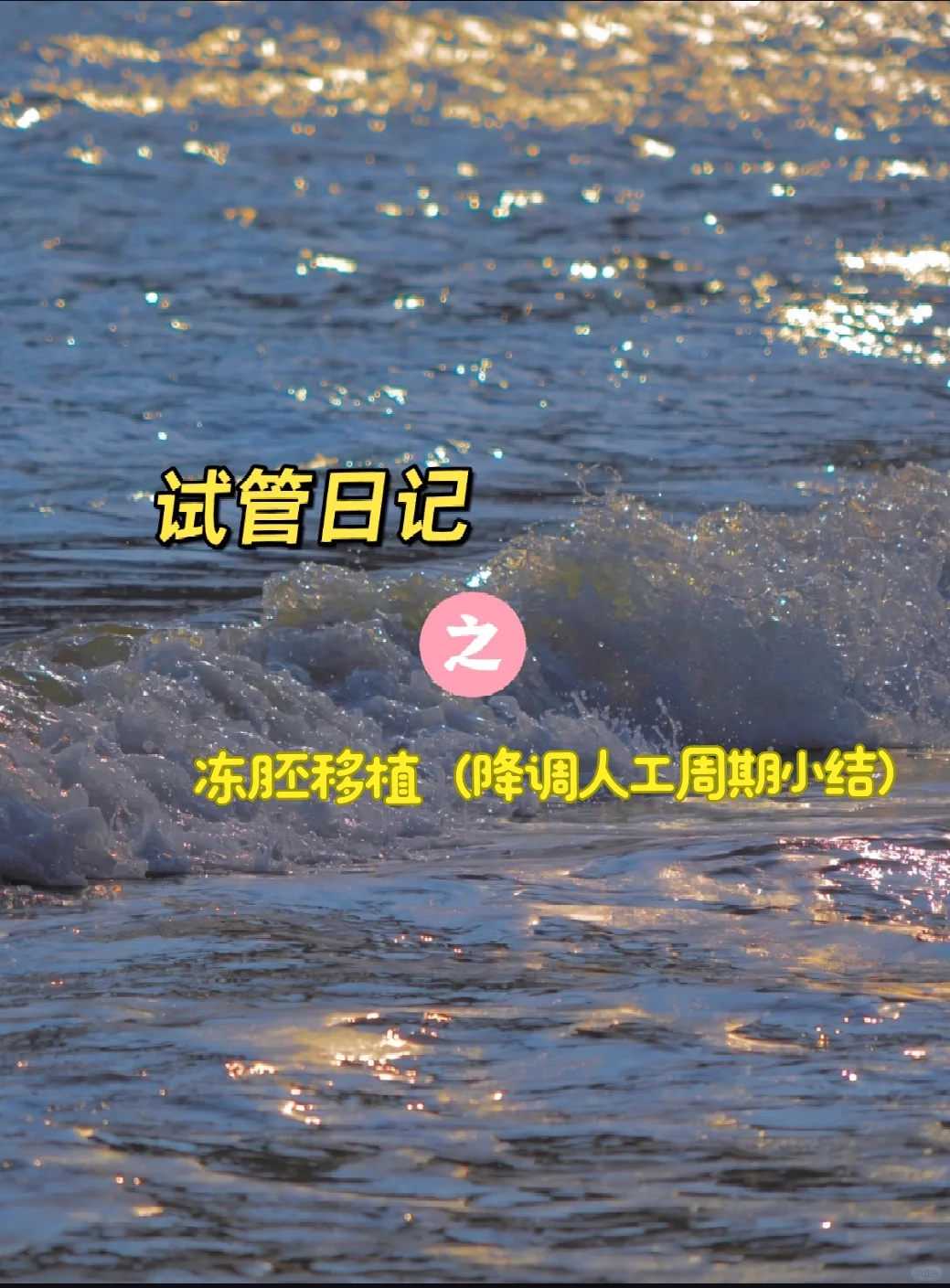 沈阳简子放生翻译（沈阳让别人捎钱放生有功德吗）