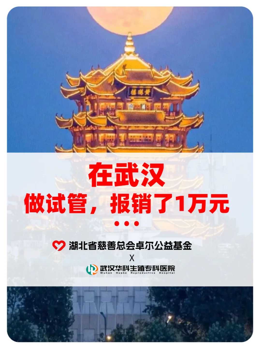 连云港代放生，连云港端午节什么时间放生好，连云港放生鳄鱼犯法吗