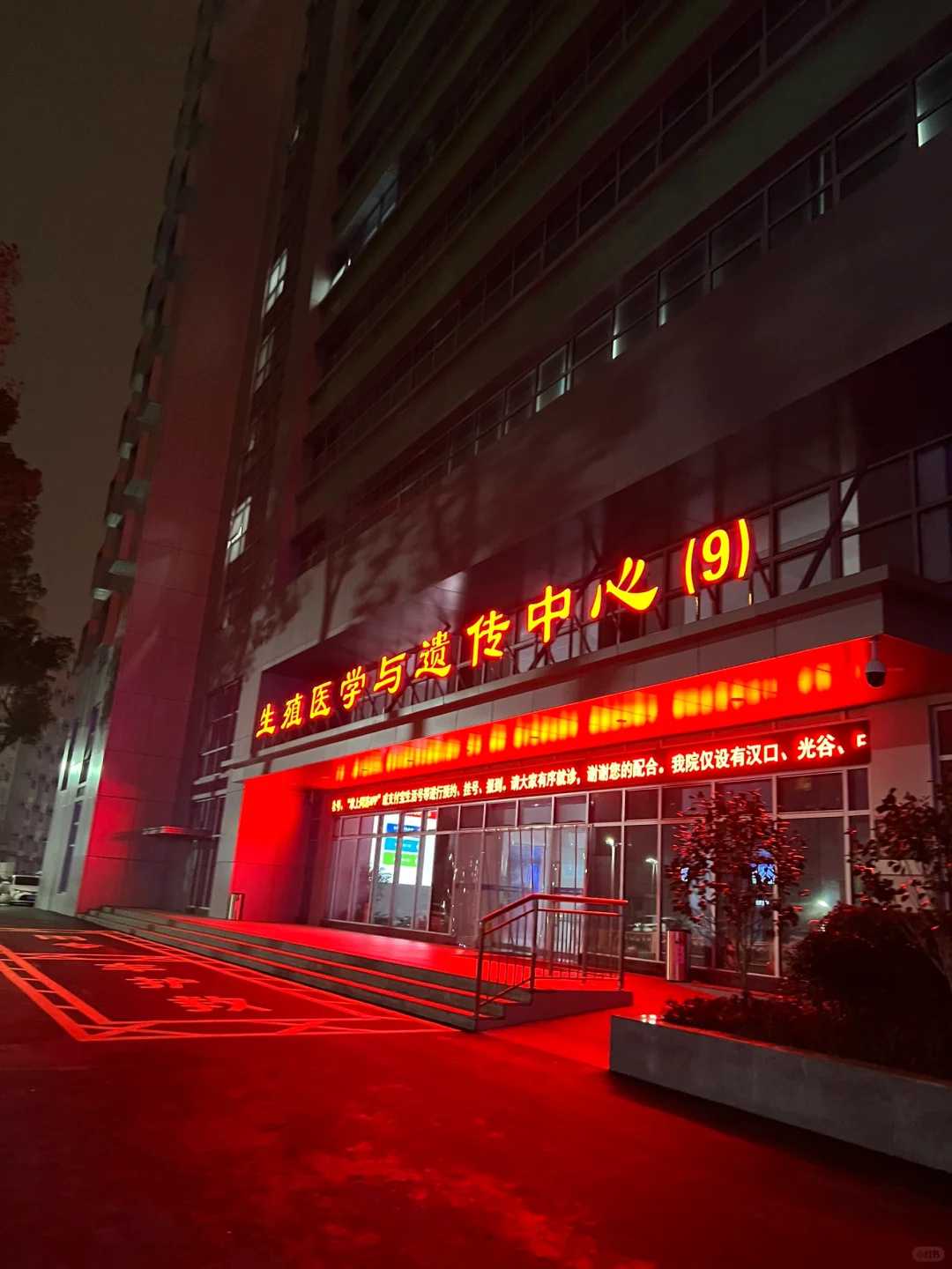 湖北放生鸭子的最佳地点，哪里有放生的地方，放生鸭子的最佳地点