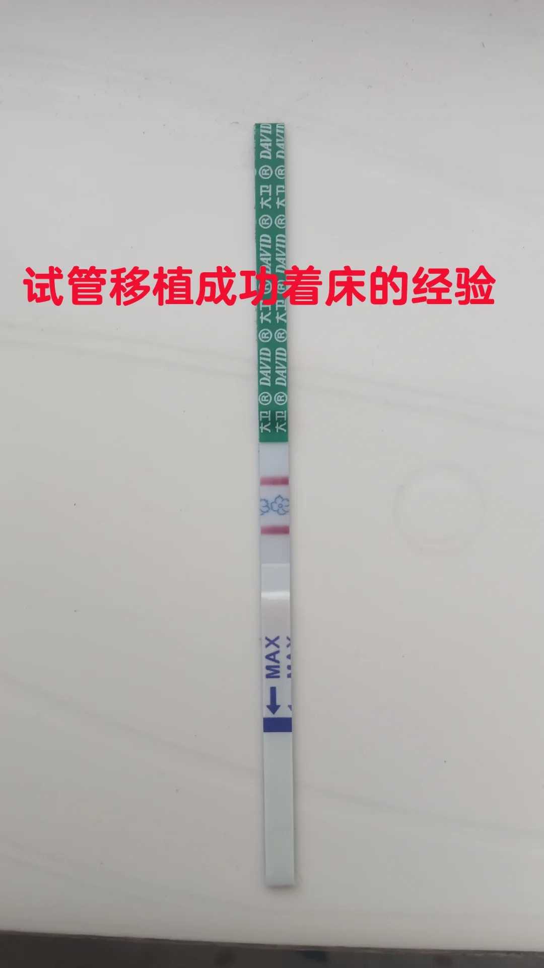 云南放生网站，云南代放生兔子，云南放生泥鳅寓意什么