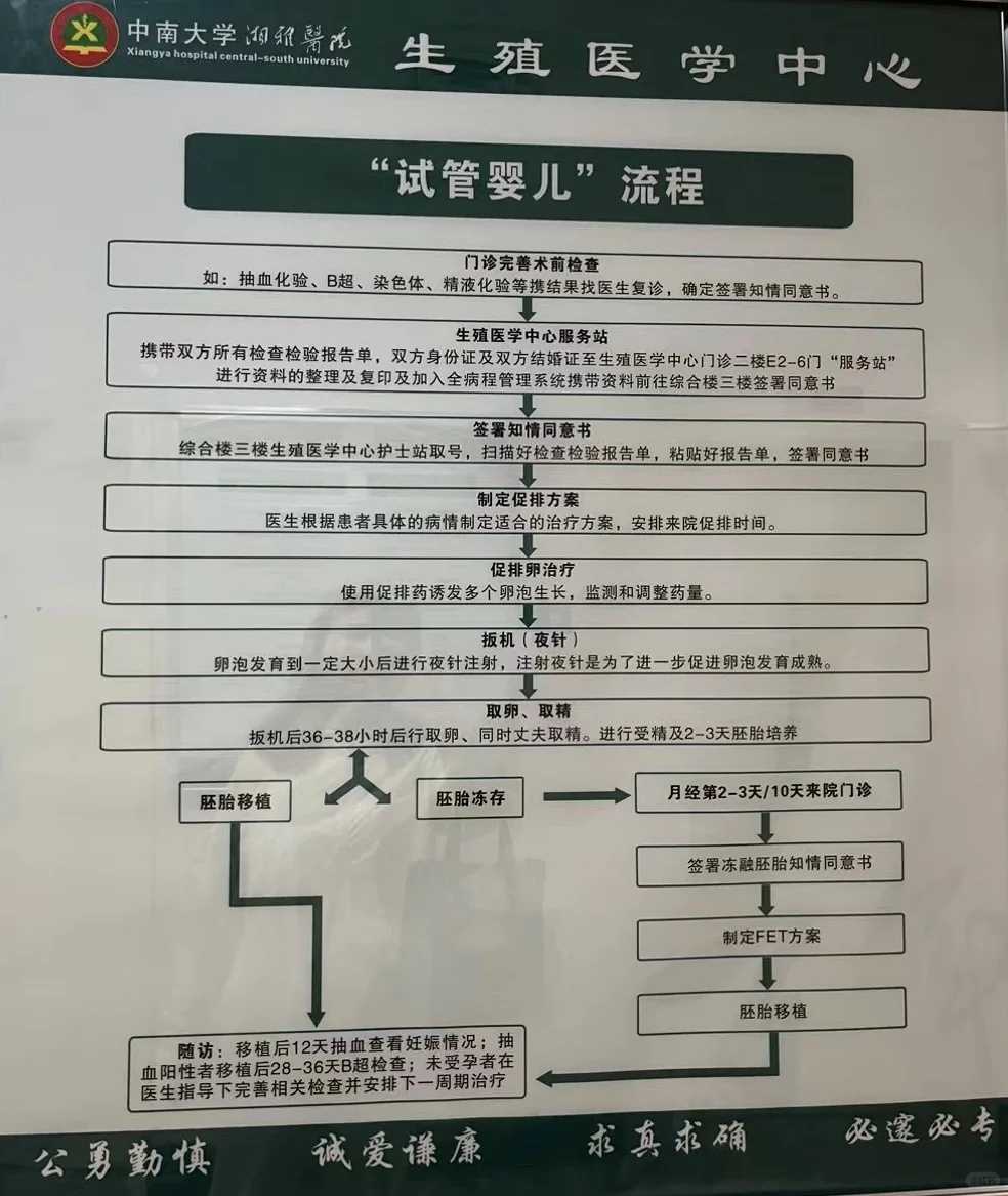 银川放生龟的好处，银川汾河适合代放生吗，银川放生过了头的征兆