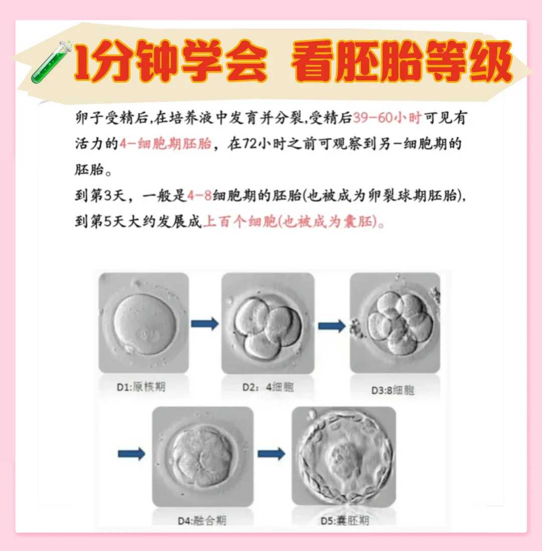 武汉放生小组，白色鳝鱼要放生吗