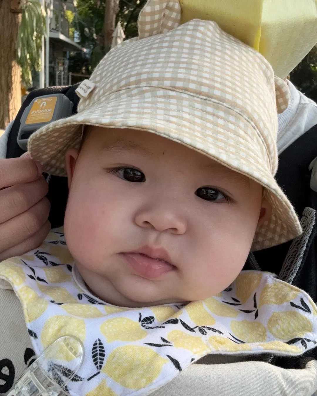 石家庄免费放生网,石家庄乌龟放生什么时间好,放生都是什么日子