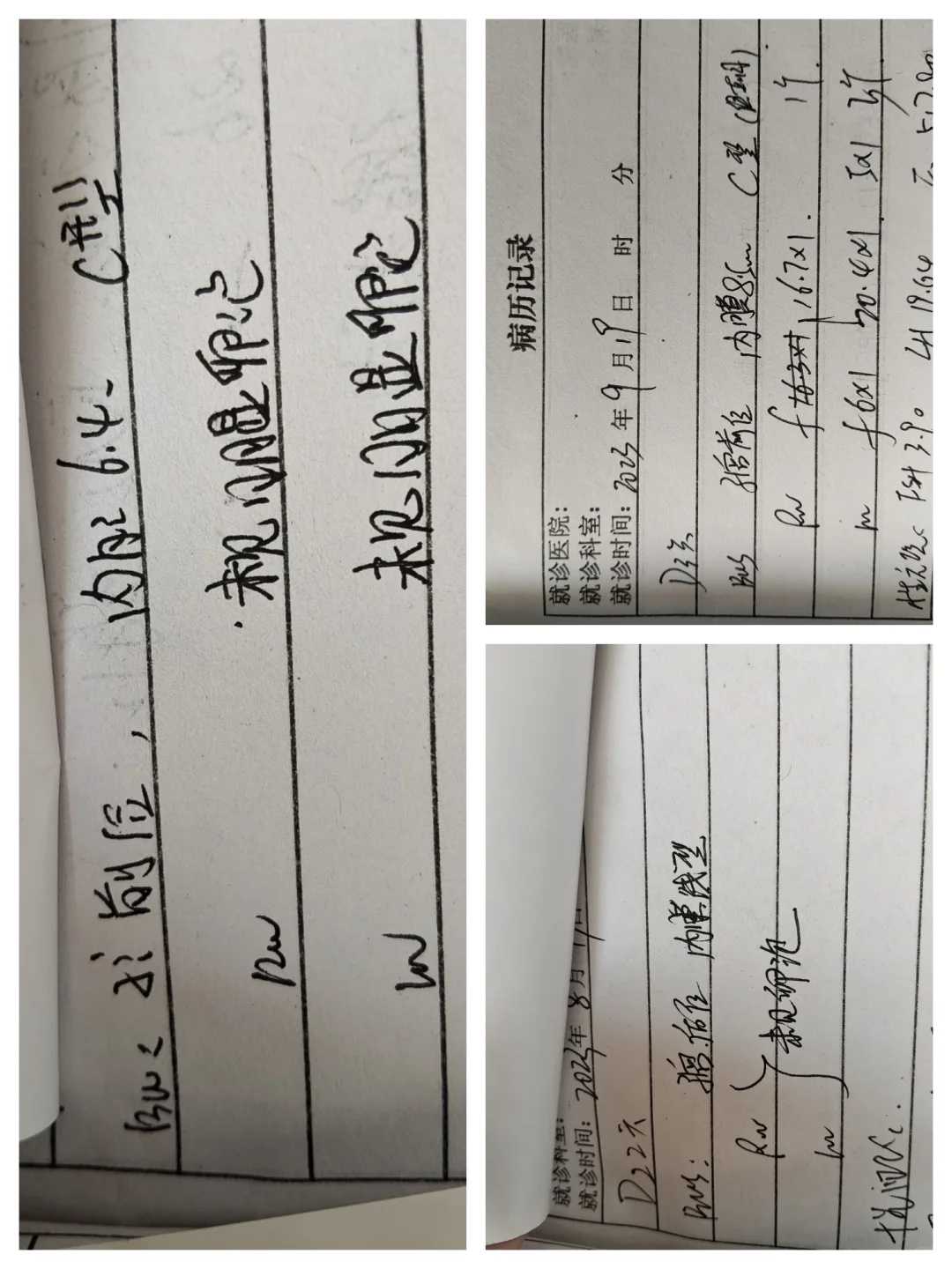 广西放生鱼，坚持放生三年