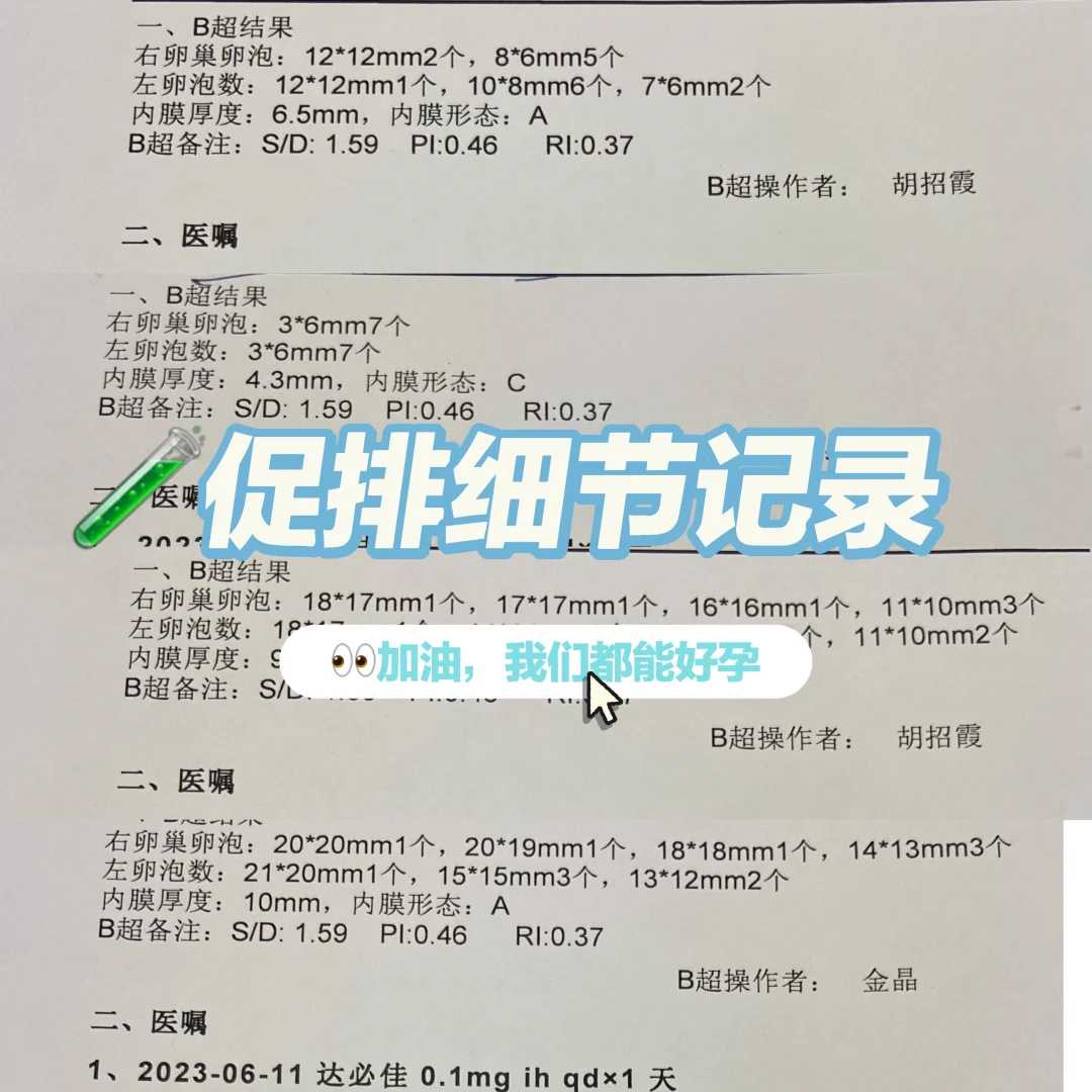武汉放生修福,武汉为什么要代放生,武汉小乌龟能放生吗