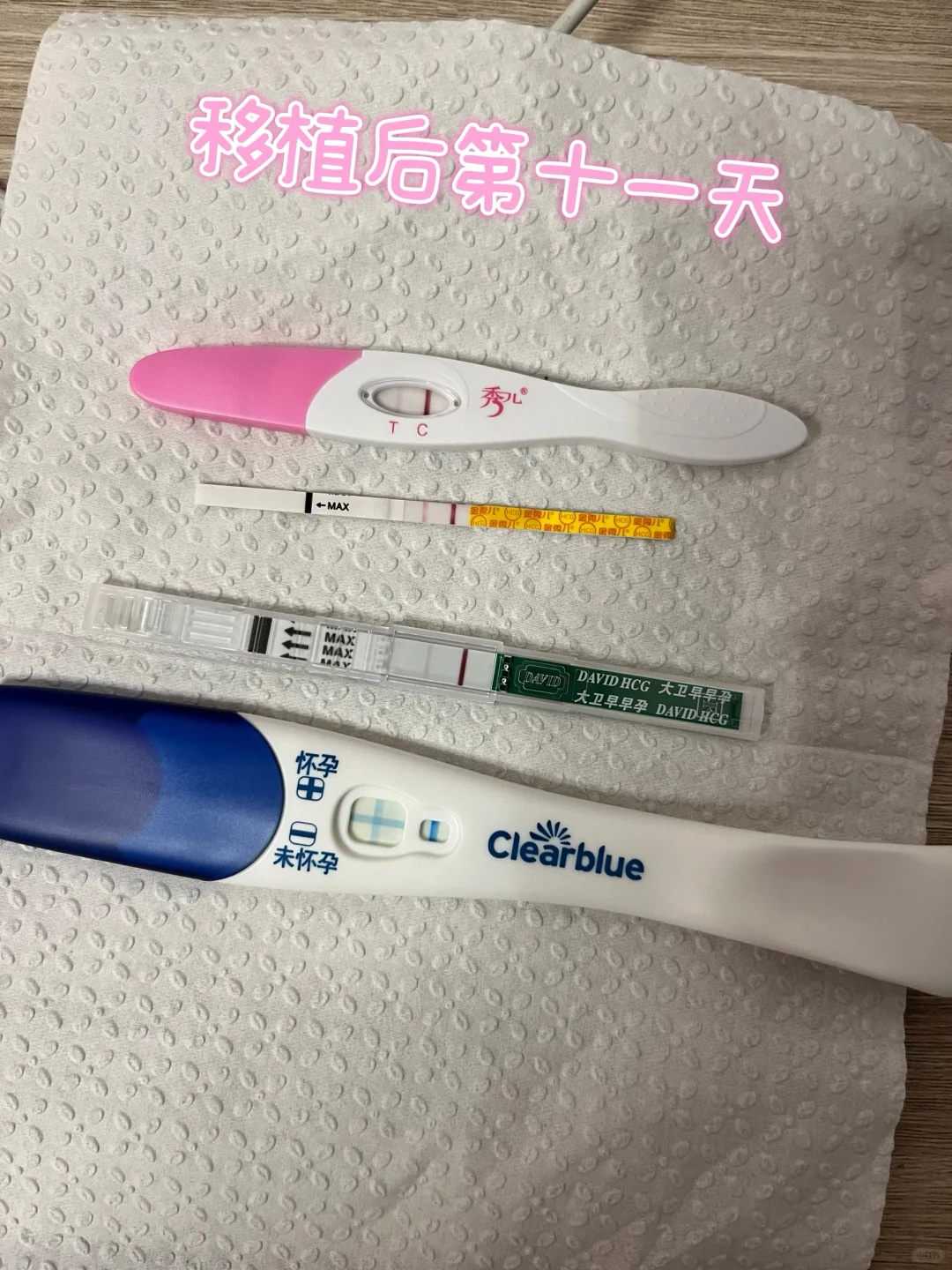 合肥放生是否可减少堕胎的罪孽，合肥初一十五放生什么最好，合肥简子放生的