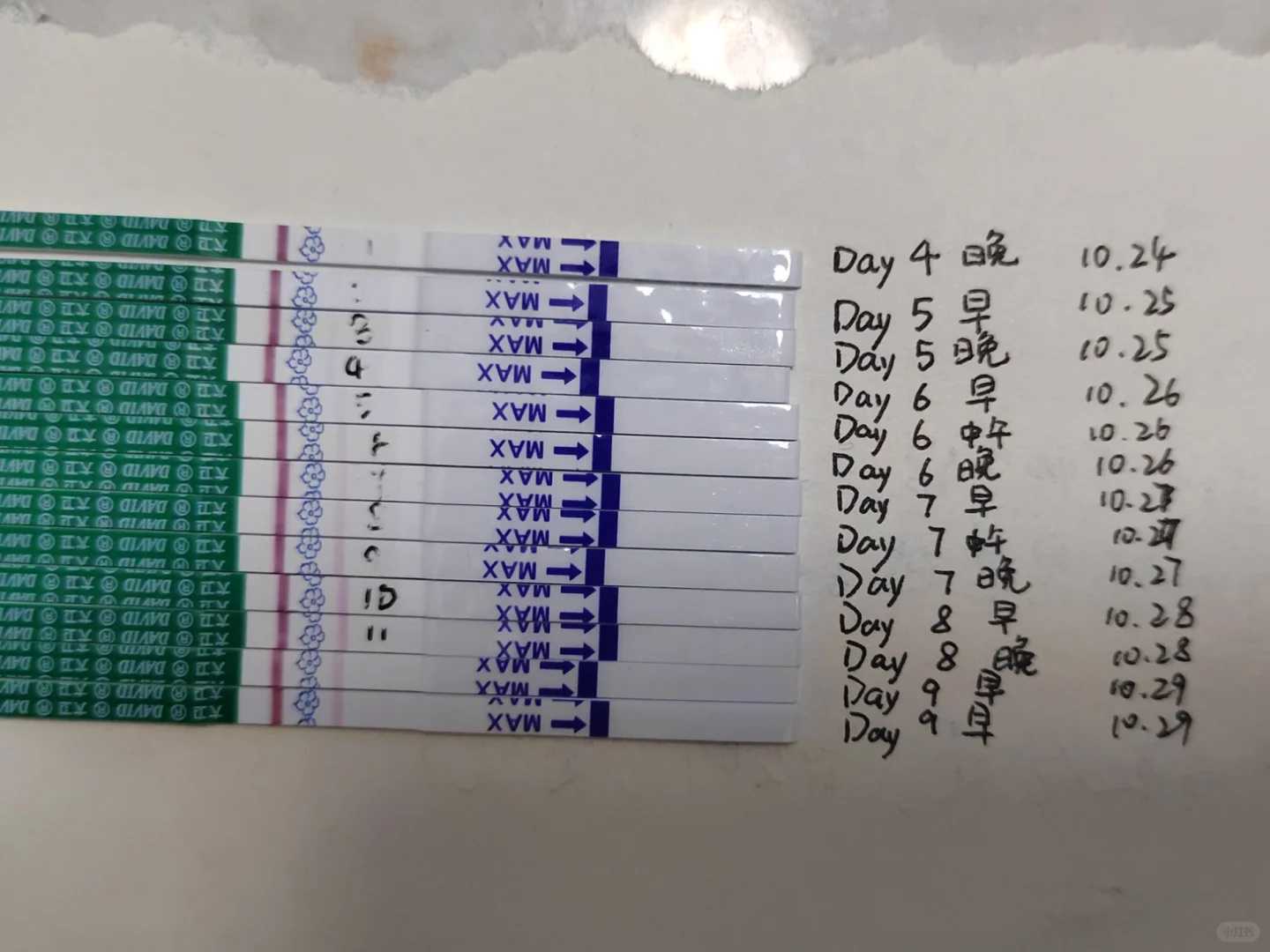 广州放生视频（广州放生泥鳅有什么讲究吗）