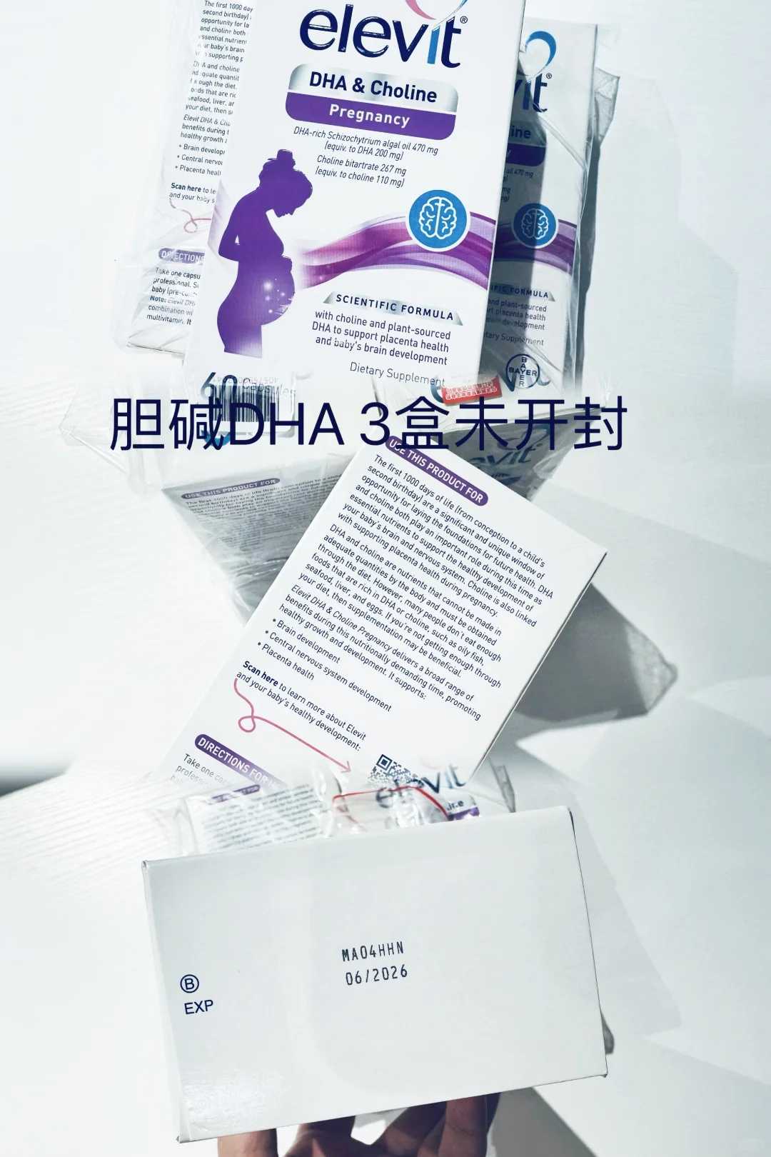 放生可以化解堕胎吗福建方舟放生于三天后【福建哪里放生最好的地方】