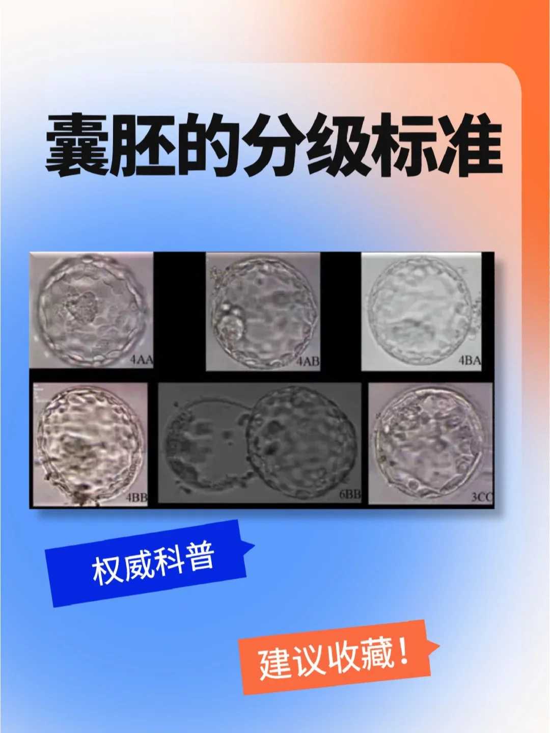 放生有三大忌讳的是什么，放生鱼什么时候好钓鱼