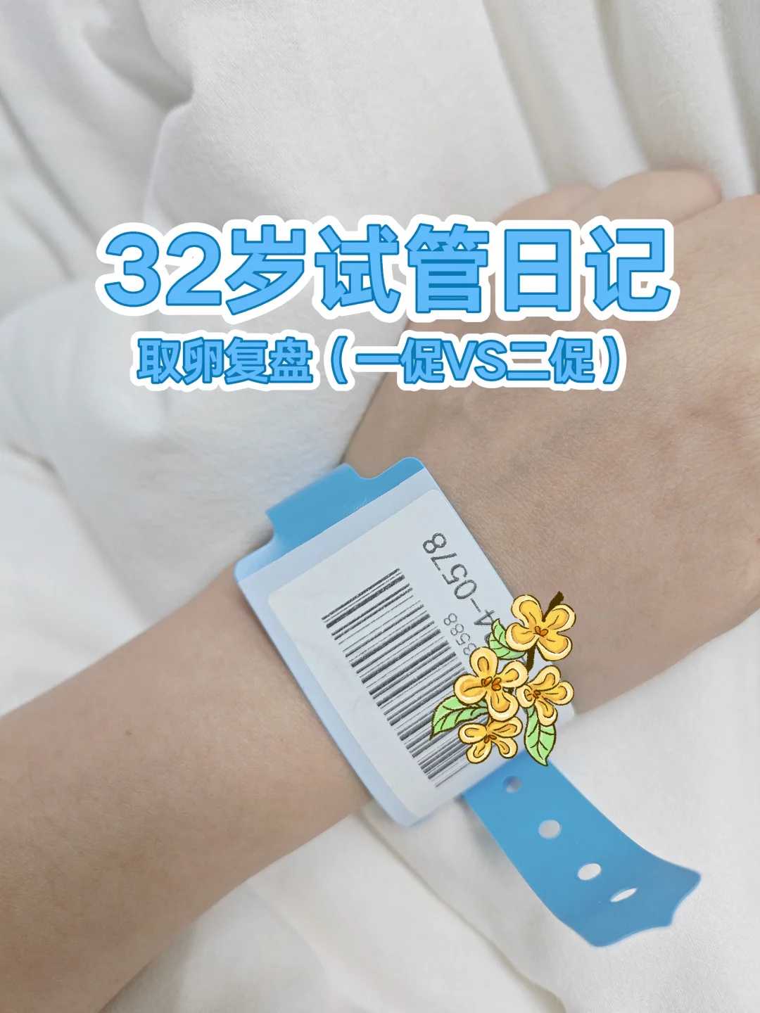 厦门放生法会流程，厦门金钱龟放生意义，放生最好的时间几点