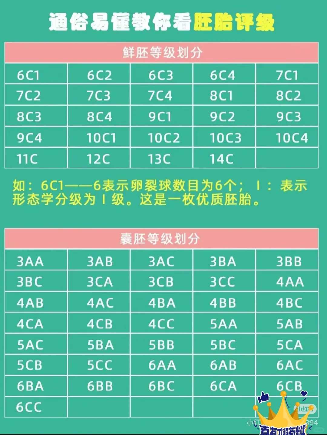芜湖求姻缘放生,芜湖哪个庙可以放生,芜湖放生最新政策