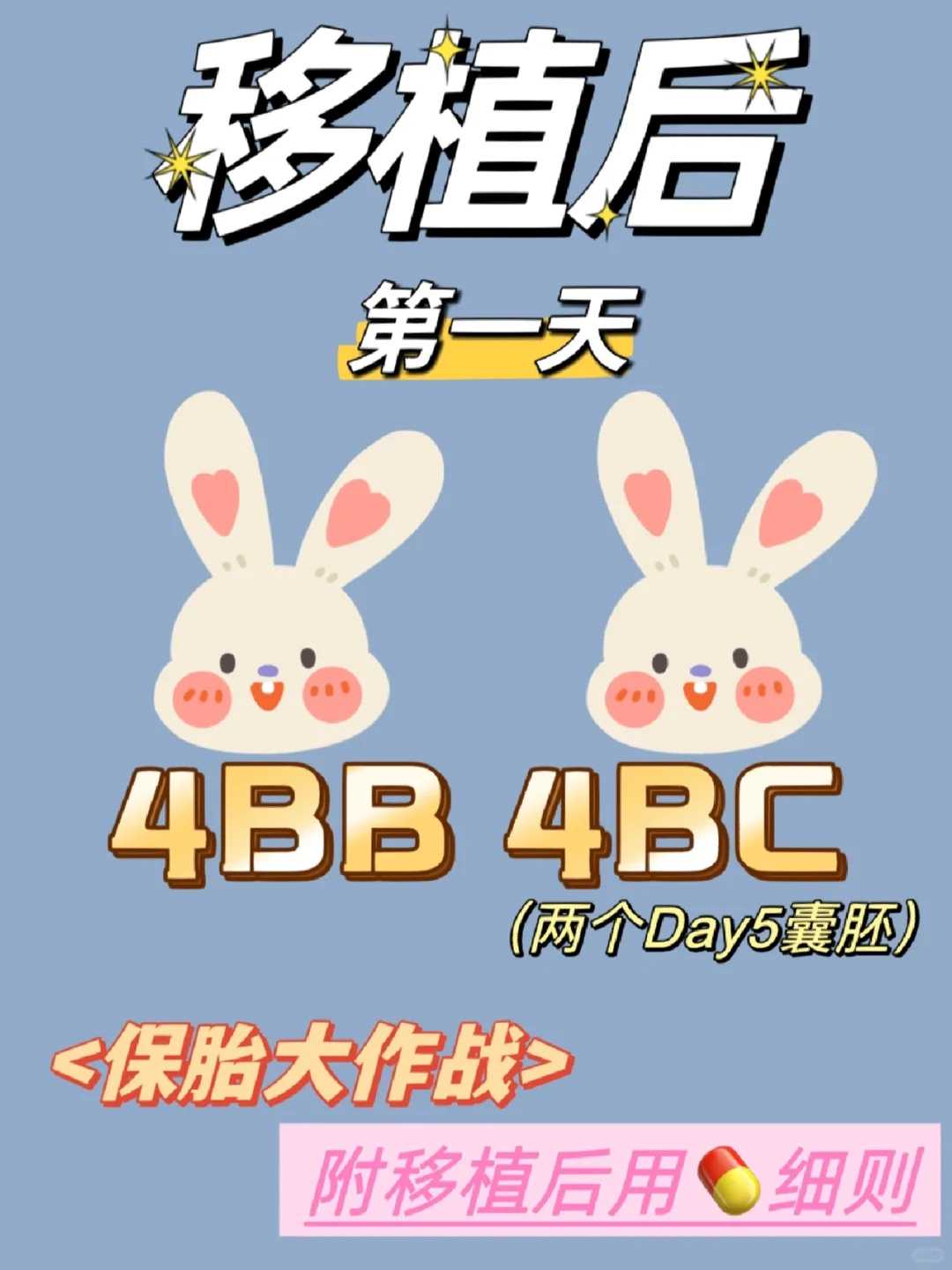 武汉哪里可以放生鱼缸，放生别人就是放生自己